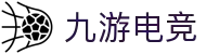 九游官网 - 九游娱乐电竞站 - NINE GAME ESPORTS
